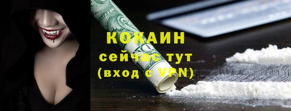 ECSTASY Гусь-Хрустальный