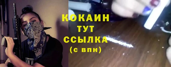 ECSTASY Гусь-Хрустальный