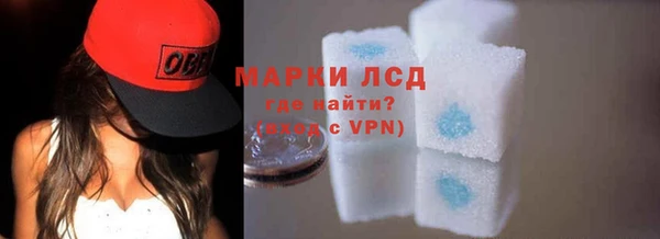 прущие крисы Гусев