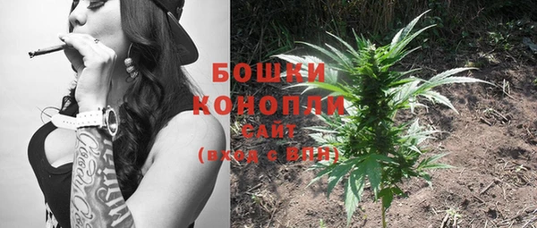 ECSTASY Гусь-Хрустальный