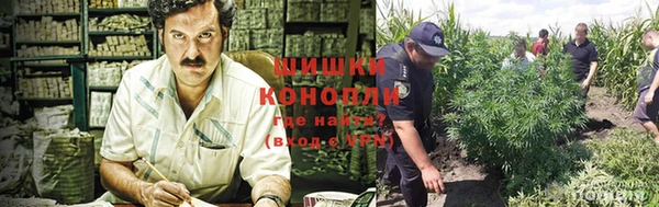 меф Горняк