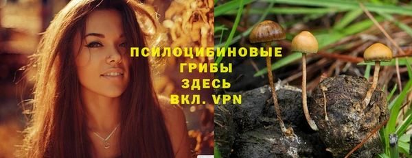 синтетический гашиш Гусиноозёрск