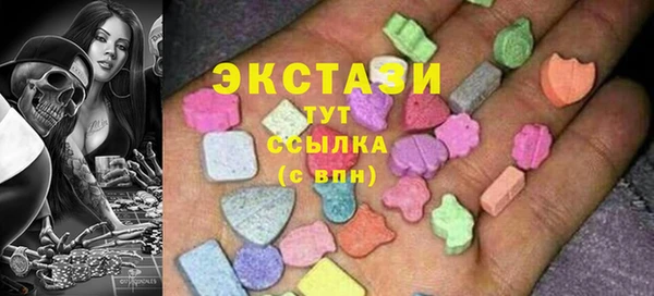 ECSTASY Гусь-Хрустальный