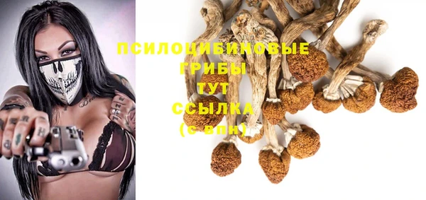 прущие крисы Гусев