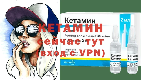 ECSTASY Гусь-Хрустальный