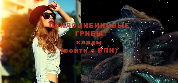 ECSTASY Гусь-Хрустальный