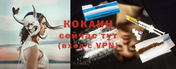 меф Горняк