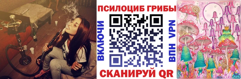 Псилоцибиновые грибы GOLDEN TEACHER  продажа наркотиков  Томилино 
